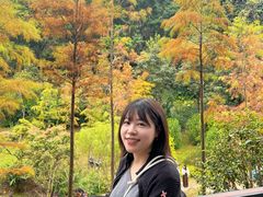 -云溪植物园
