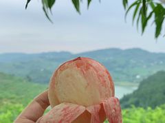 -塔子山公园
