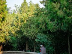 -北岭山森林公园