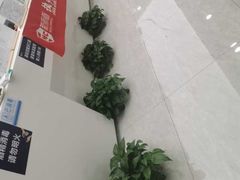 -新航道雅思托福·留学·考研培训(人民广场校区)