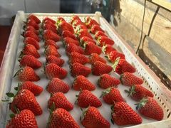 -石家庄万象城