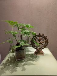 -Y+U遇瑜伽·普拉提