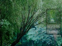 -同里国家湿地公园