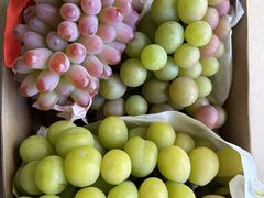 -马陆小张葡萄园农家乐