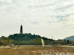 -顺峰山公园