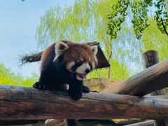 -北京野生动物园