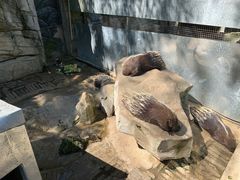 -黔灵山公园