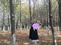 -白马涧龙池景区