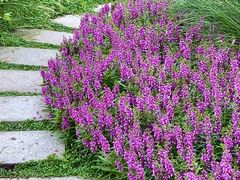 -中国杭州低碳科技馆