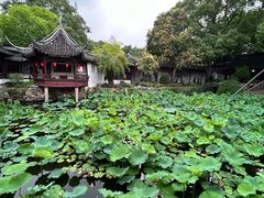 -上海醉白池公园