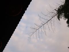 -杭州上天竺法喜讲寺