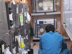 -派联宠物医院·24h·CT·异宠