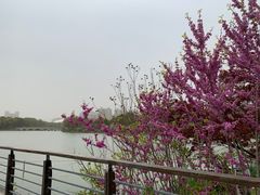 -昆山城市生态森林公园