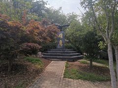 -南京老山国家森林公园