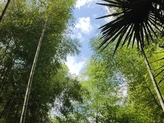 -黄公望隐居地
