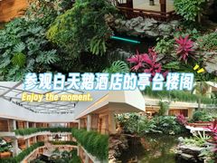 -广州白天鹅宾馆