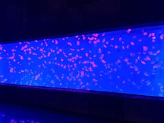 -波塞冬旅游度假区