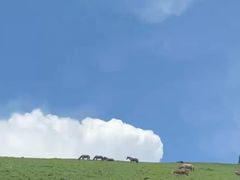 -花湖生态旅游区