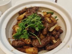 鬼马嫩滑牛肉煲-蔡澜点心·粤菜(月星环球港店)