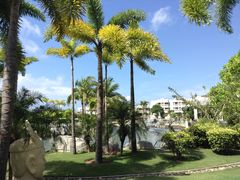 IMG_0844-三亚亚龙湾凯莱仙人掌度假酒店