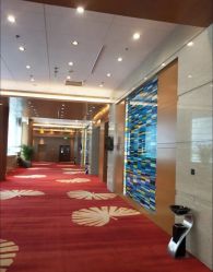 -永泰福朋喜来登酒店-宴会厅