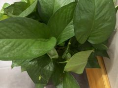 -鸥迪足道(浑南亿丰店)