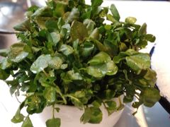 -红鼎豆捞·小红鼎豆捞送(花样年华大厦店)