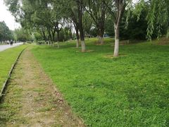 -永定河休闲森林公园