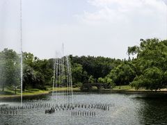 -绿荫坊餐厅(共青森林公园店)