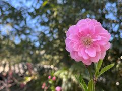 -香山公园