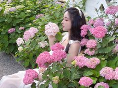 -三圣花乡旅游区