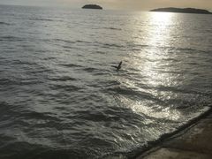 -Sunset Bar(丹绒亚路香格里拉店)