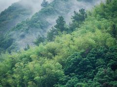 -雁荡山风景名胜区