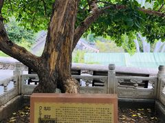 -潭柘寺景区