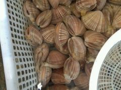 -喝丢一只鞋海鲜烧烤·海肠捞饭(文体街店)