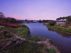 -宝安西湾红树林湿地公园