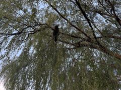 -西安浐灞国家湿地公园