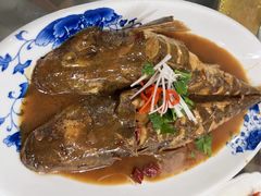 酱焖辫子鱼-春来酒家
