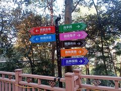 -大余丫山旅游度假区