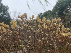 -郑州植物园