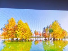 -贡湖湾湿地公园