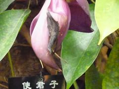 -南通洲际绿博园