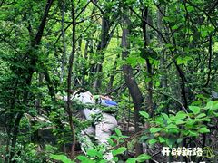 -桃花岭景区