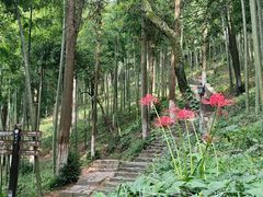 -莫干山风景区
