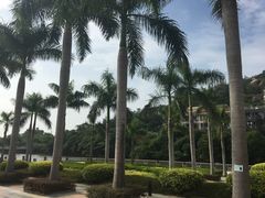 -厦门国家会计学院
