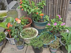 -小草屋轰趴馆别墅派对新场团建家庭聚会