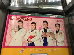 -爱侣宠医·鹦鹉专科·小型哺乳类·异宠专科(灵石路店)