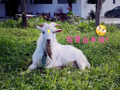 -乡乐园蟹庄·阳澄湖农家乐