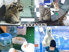 -六鳌翡翠湾滨海度假景区