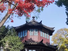 -拙政园